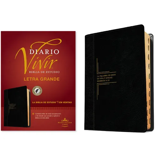 Biblia de Estudio del Diario Vivir Rvr60, Letra Grande (Letra Roja, Sentipiel, Negro/Ónice, Índice)