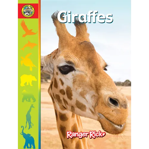 Giraffes
