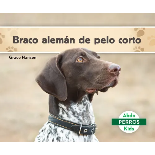 Braco Alemán de Pelo Corto (German Shorthaired Pointers)