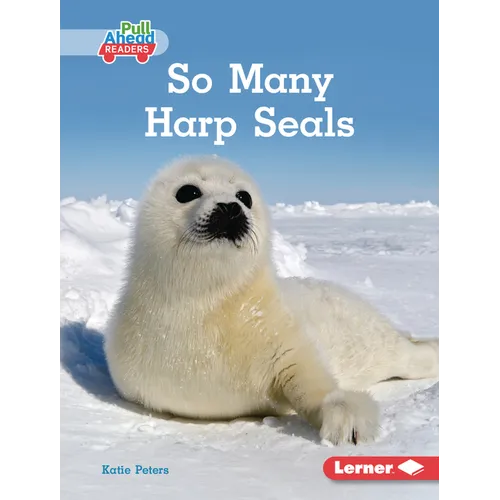 So Many Harp Seals