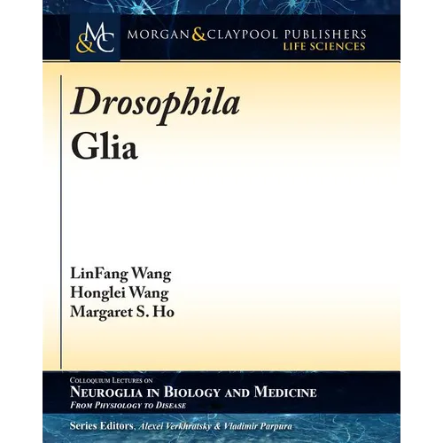 Drosophila Glia