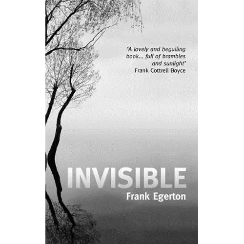 Invisible