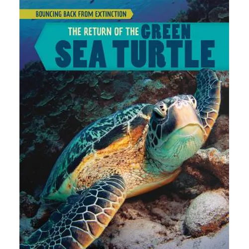 The Return of the Green Sea Turtle