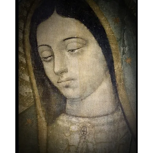 Vida de la Virgen (2): Según María Jesús de Ágreda en la Mística Ciudad de Dios
