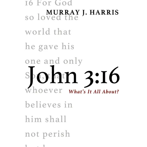 John 3:16: What's It All About?