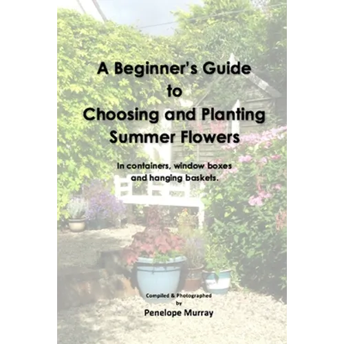 A Beginner's Guide to Choosing and Planting Summer Flowers