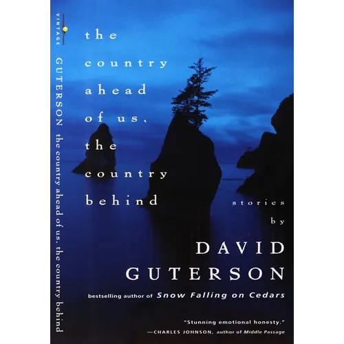 The Country Ahead of Us, the Country Behind