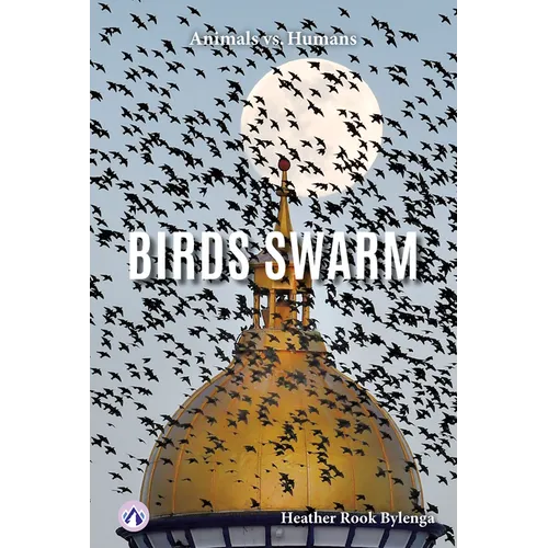 Birds Swarm