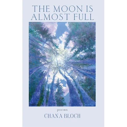 Moon Is Almost Full