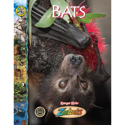 Bats