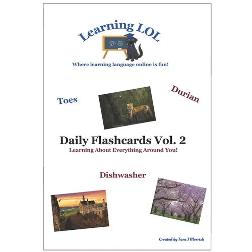 Daily Flashcards Vol. 2: Learning About Everything Around You!