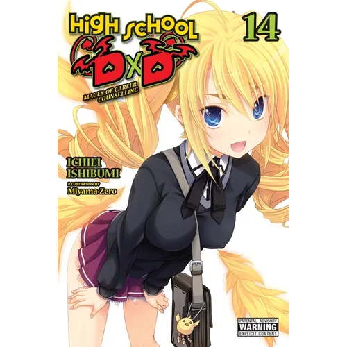 High School DXD, Vol. 14 (Light Novel): Volume 14