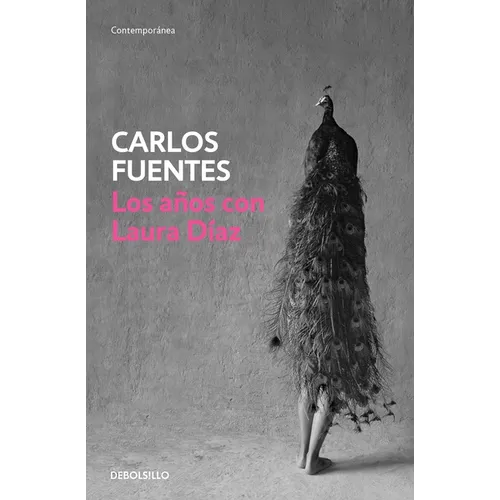 Los Años Con Laura Diaz / The Years with Laura Diaz