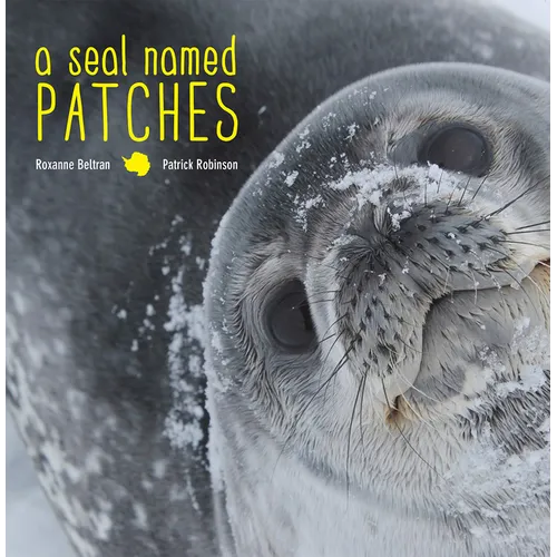 Seal Named Patches