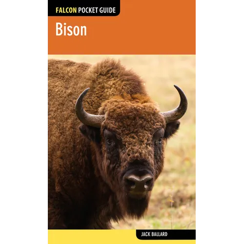 Bison