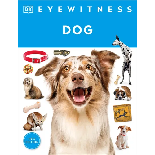 Eyewitness Dog
