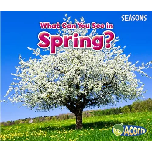 What Can You See in Spring?