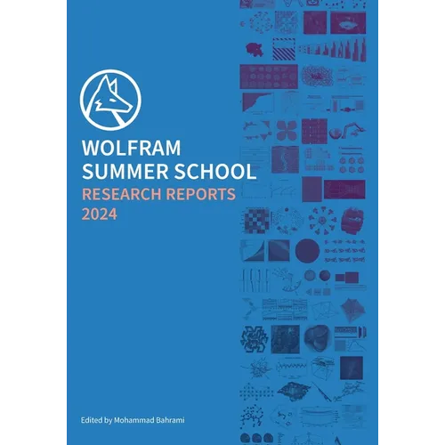Wolfram Summer School Research Reports 2024