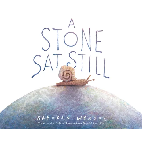 A Stone SAT Still