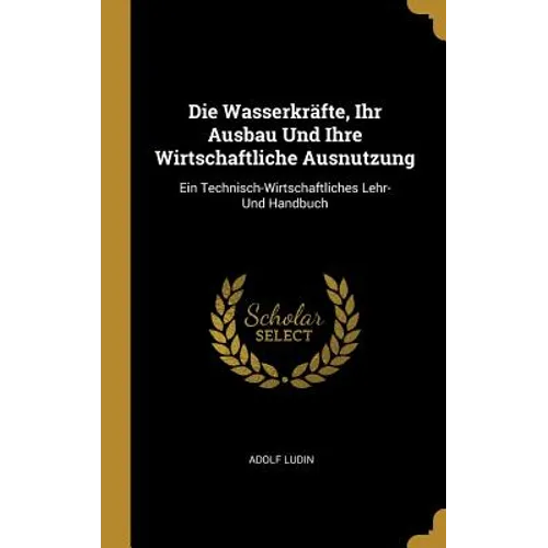 Die Wasserkräfte, Ihr Ausbau Und Ihre Wirtschaftliche Ausnutzung: Ein Technisch-Wirtschaftliches Lehr- Und Handbuch