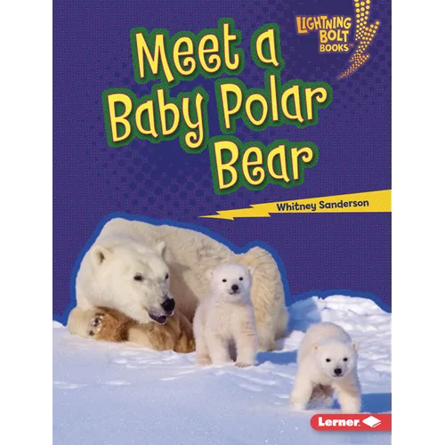 Meet a Baby Polar Bear