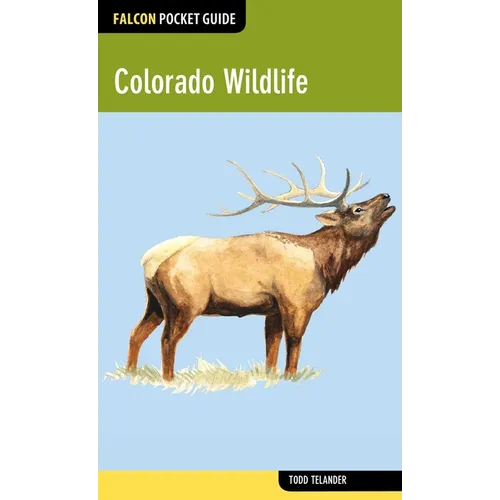 Colorado Wildlife