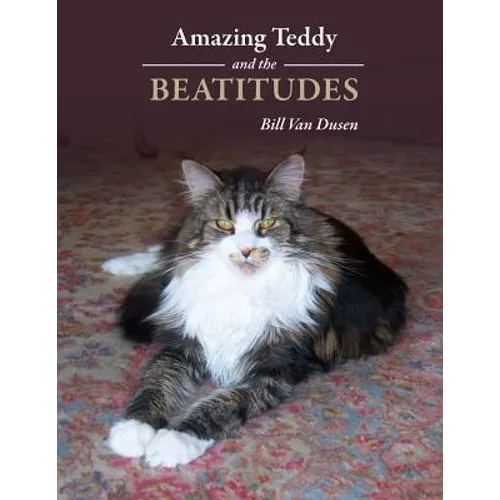 Amazing Teddy and the Beatitudes