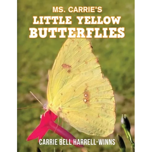 Ms. Carrie's Little Yellow Butterflies