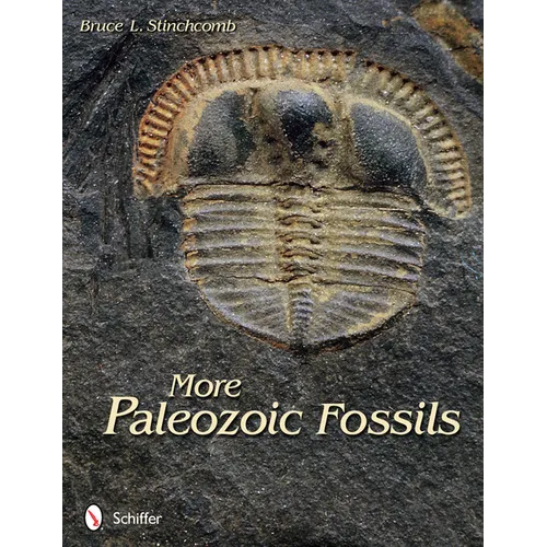 More Paleozoic Fossils