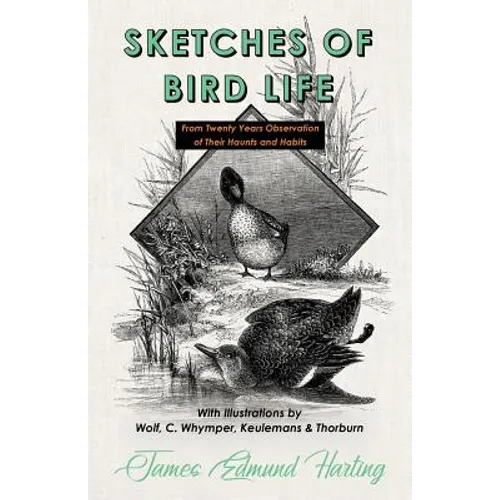 Sketches of Bird Life - From Twenty Years Observation of Their Haunts and Habits - With Illustrations by Wolf, C. Whymper, Keulemans, and Thorburn