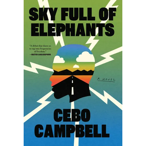 Sky Full of Elephants