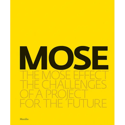 The Mose Effect: The Challenges of a Project for the Future