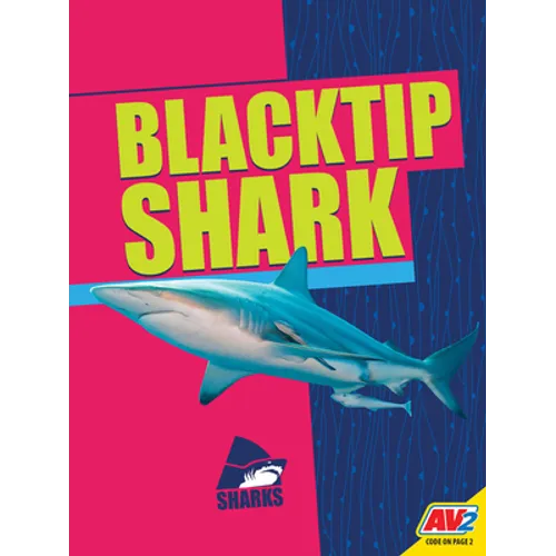 Blacktip Shark