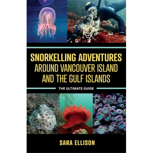 Snorkelling Adventures Around Vancouver Island and the Gulf Islands: The Ultimate Guide