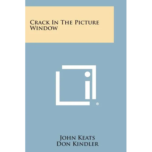 Crack in the Picture Window