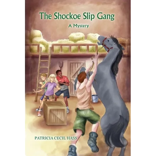 The Shockoe Slip Gang: A Mystery