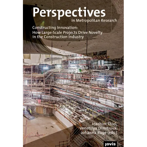 Constructing Innovation: How Large-Scale Projects Drive Novelty in the Construction Industry