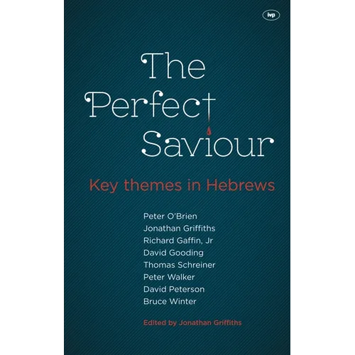 The Perfect Saviour