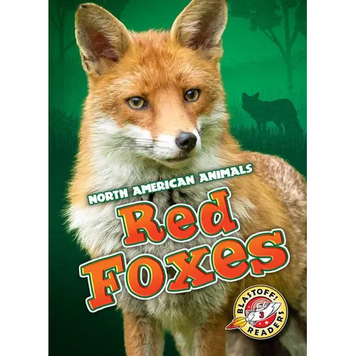 Red Foxes