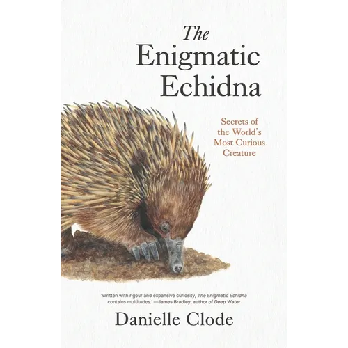 The Enigmatic Echidna: Secrets of the World's Most Curious Creature