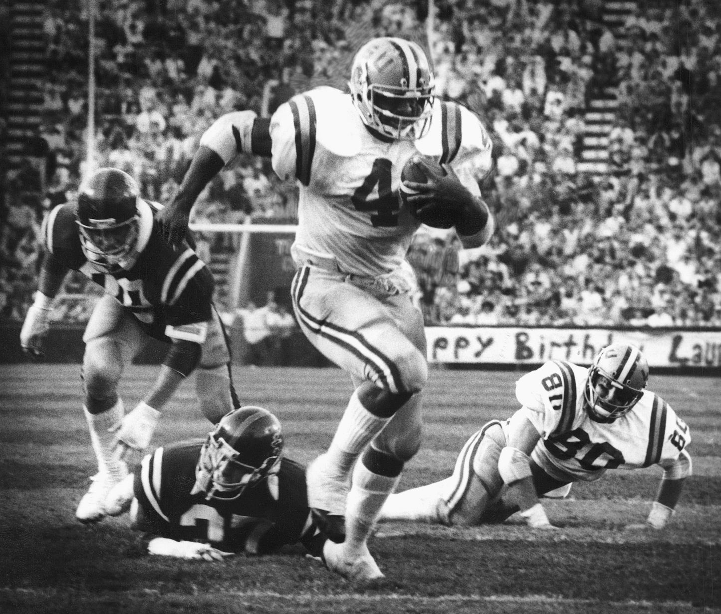 LSU by the Numbers: The Greatest Tigers in History (and Those Who Almost Made It) Book