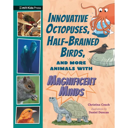 Innovative Octopuses, Half-Brained Birds, and More Animals with Magnificent Minds