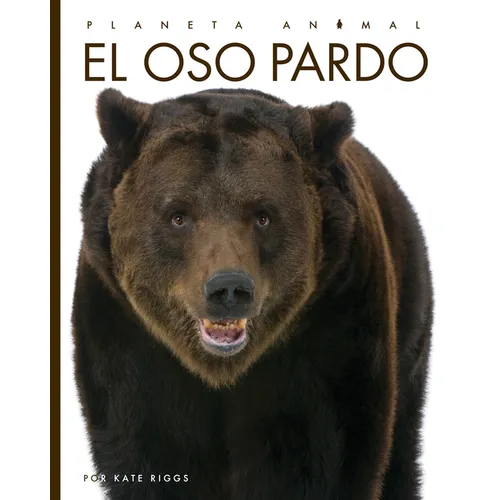 El Oso Pardo