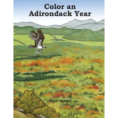 Color an Adirondack Year