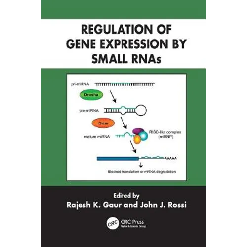 Regulation of Gene Expression by Small RNAs