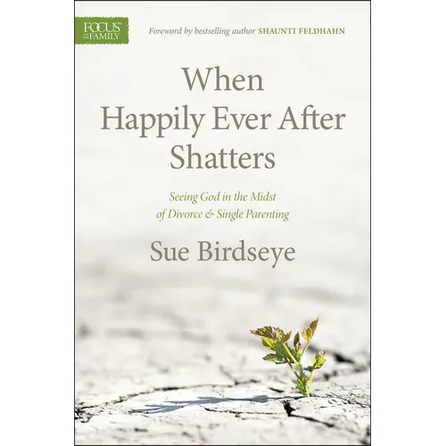 When Happily Ever After Shatters: Seeing God in the Midst of Divorce & Single Parenting