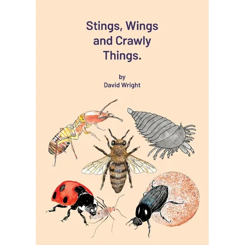 Stings, Wings and Crawly Things