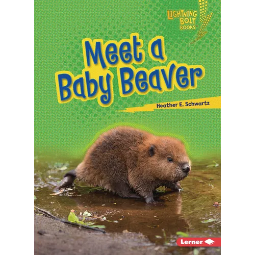 Meet a Baby Beaver