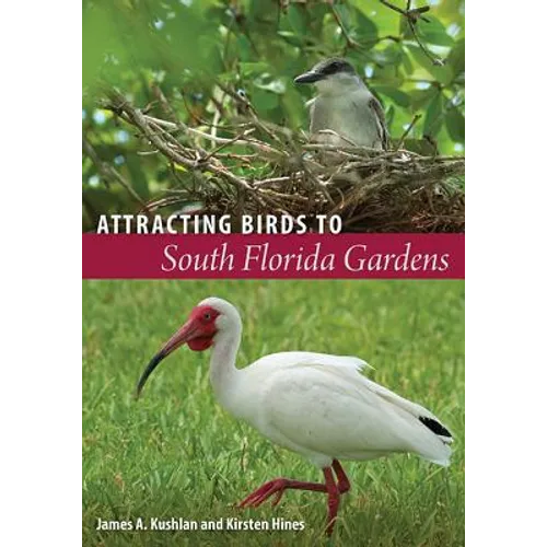 Attracting Birds to South Florida Gardens