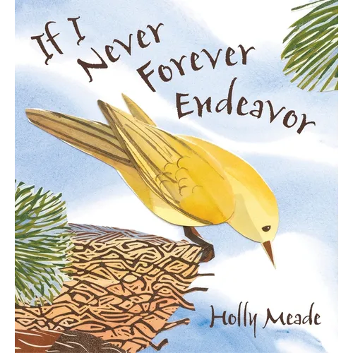 If I Never Forever Endeavor